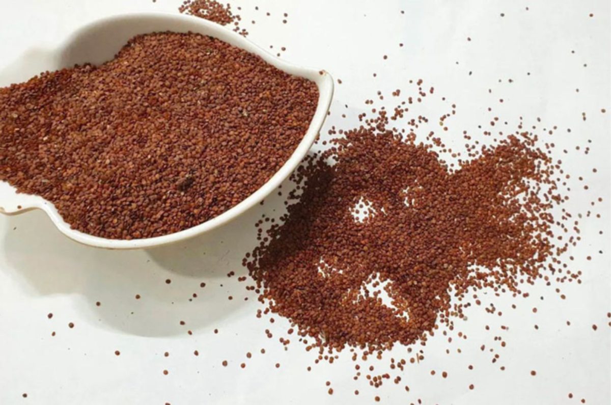 Mặt nạ ngũ hoa đắp mấy lần 1 tuần